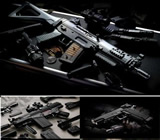 Armas e Munição em Feira de Santana