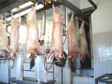 Frigoríficos em Feira de Santana