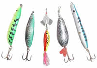 Lojas de Pesca em Feira de Santana