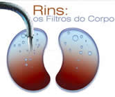 Nefrologia e Nefrologista em Feira de Santana