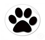 Pet Shops em Feira de Santana