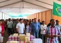 Secretária de Desenvolvimento Econômico de Feira de Santana