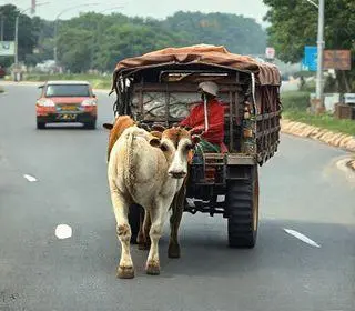 circulação de veículos de carga