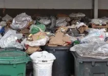 leilão de bens públicos inservíveis