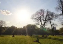 sol no final de semana