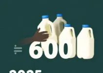 SEDESO distribuiu mais de 600 mil litros de leites no ano de 2025