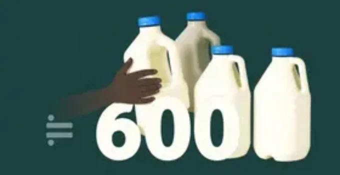 SEDESO distribuiu mais de 600 mil litros de leites no ano de 2025