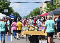 Mutirão Pop Rua Judi