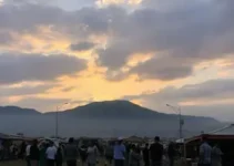 SEDESO Feira em Ação