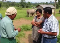 compromisso com a zona rural