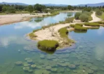 revitalização lagoa Chico Maia