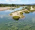 revitalização lagoa Chico Maia