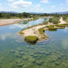 revitalização lagoa Chico Maia