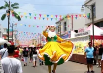 Arraiá do Feiraguay