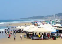 Feira de Santana oportunidades