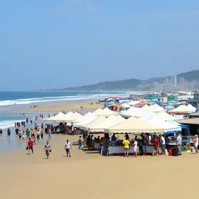 Feira de Santana oportunidades