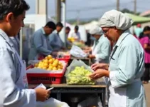 novos servidores reforçam a rede municipal de Saúde de Feira de Santana