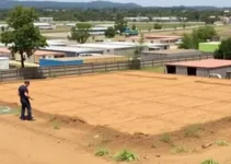 leilão da PPP de creches