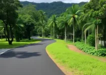 asfaltamento rua Rodrigues de Freitas Morada do Bosque