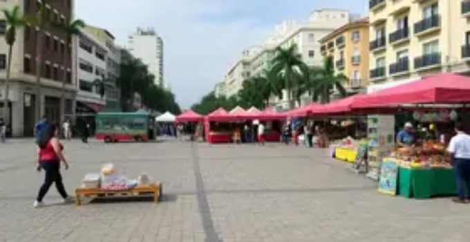 prefeitura de feira