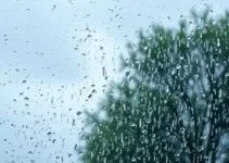 previsão de chuva