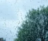 previsão de chuva
