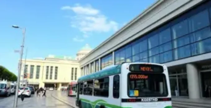 transporte gratuito FLIFS