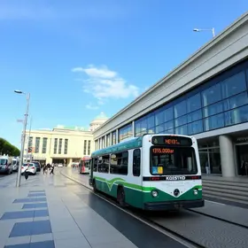 transporte gratuito FLIFS