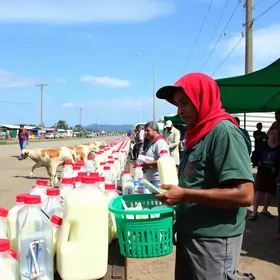 distribuição de leite em Feira de Santana