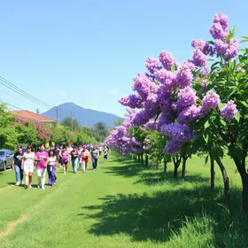 5ª Caminhada do Agosto Lilás