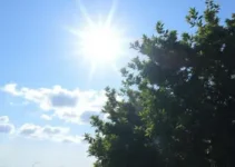 Sábado e domingo com sol