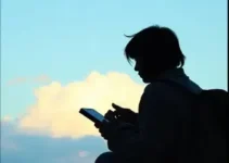edição de 29/09/2026