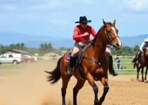 Team Penning na Bahia