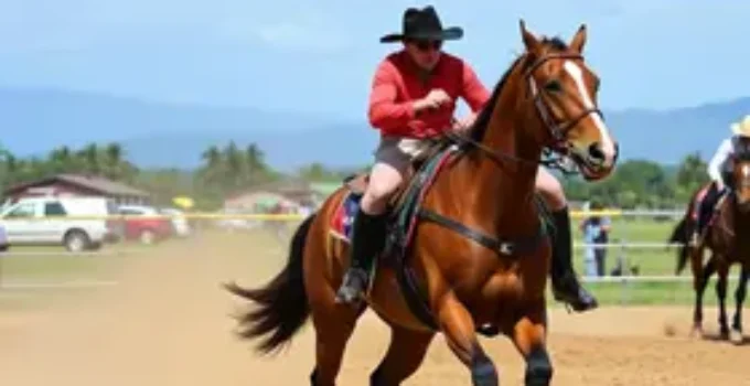 Team Penning na Bahia