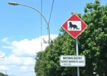 sinalização de vias públicas