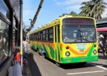 transporte público gratuito