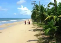 chikungunya