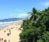 arborização urbana